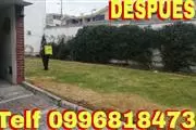 JARDINERIA En monteserrin thumbnail