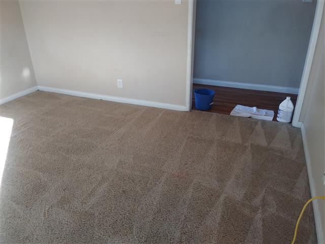 Limpieza de alfombras image 5