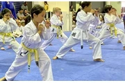 Kids Karate Classes Best Offer en Australia