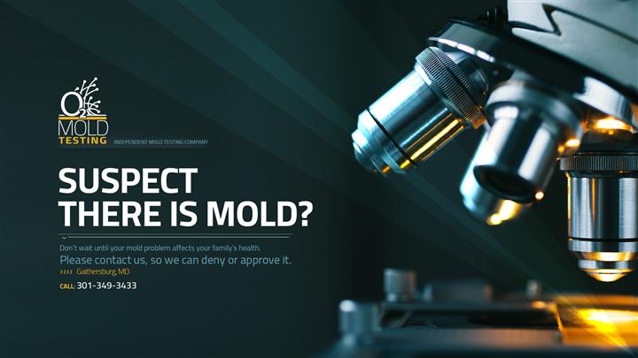 O2 Mold Testing image 10