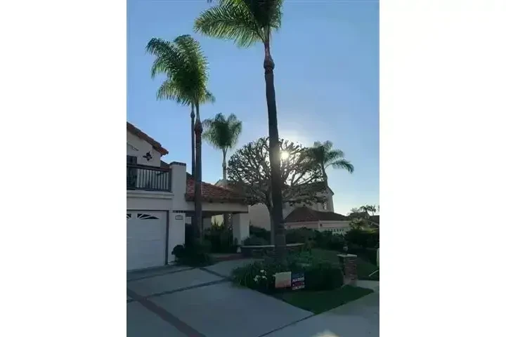 Alex Tree Services image 5