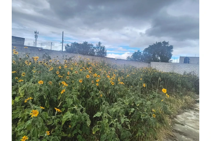 $275000 : Terreno en venta Tizayuca Hgo image 3