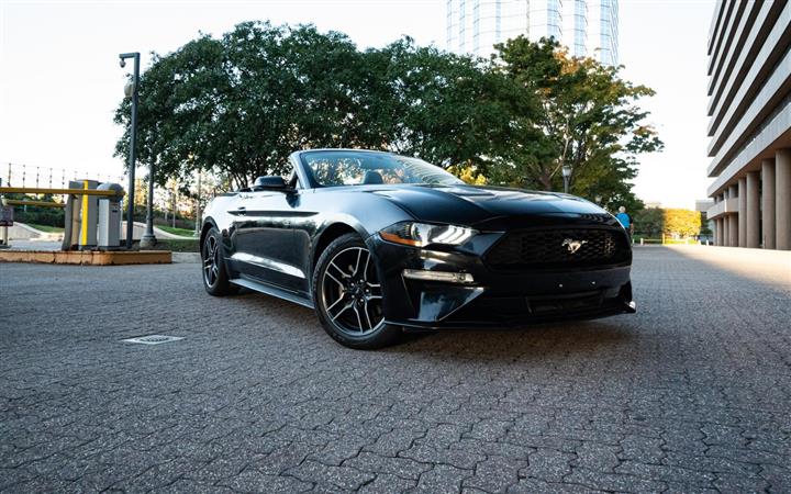 $27000 : 2020 FORD MUSTANG image 2