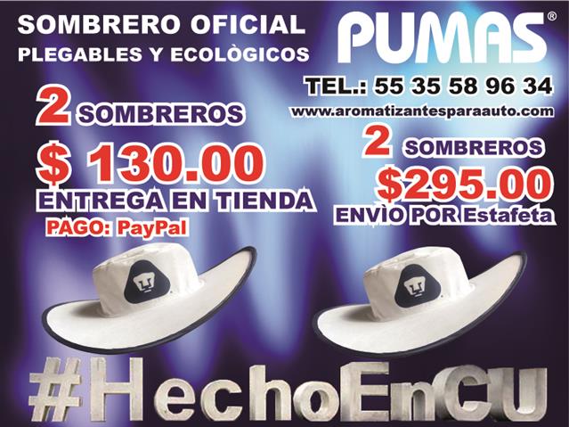 $300 : PARA LOS PUMAS UNAM SOMBREROS image 8