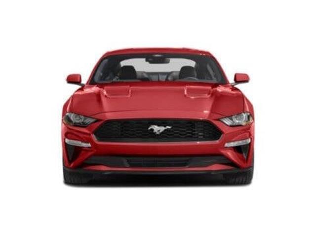 2022 Mustang EcoBoost image 5