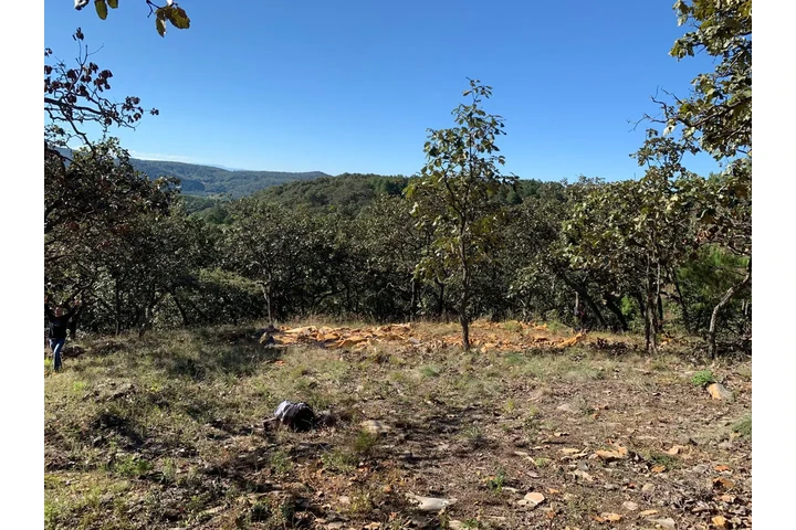 $850000 : Terreno Sierra Mazati image 5