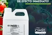 PYGANIC en Guadalajara