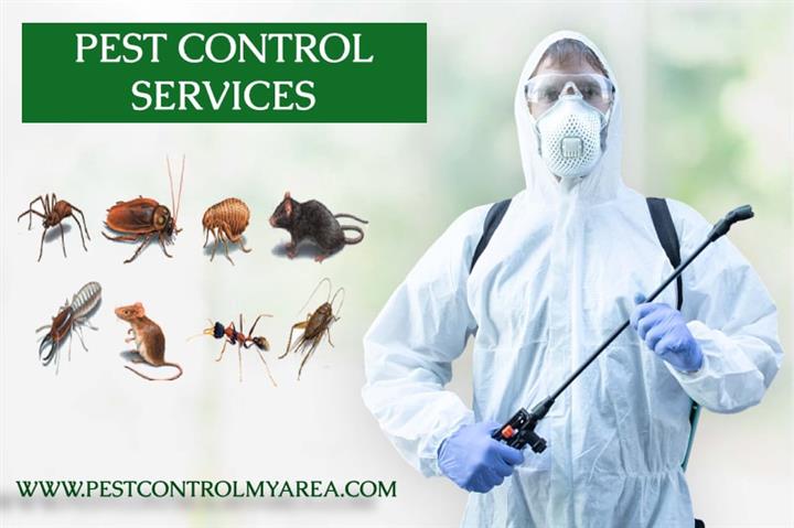 How To Get Pest Control My Are image 1