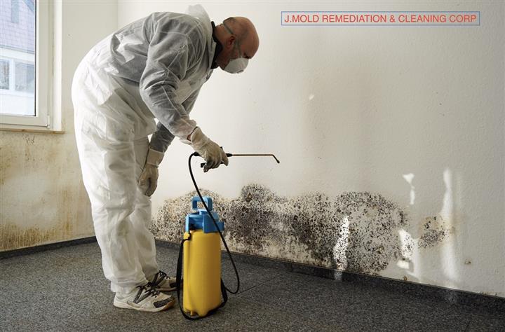 J.Mold Remediation & Cleaning image 8