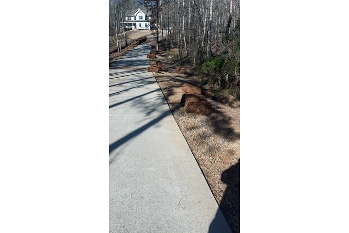 🌲LANDSCAPING SERVICES🌲 image 9