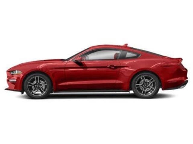 2022 Mustang EcoBoost image 4