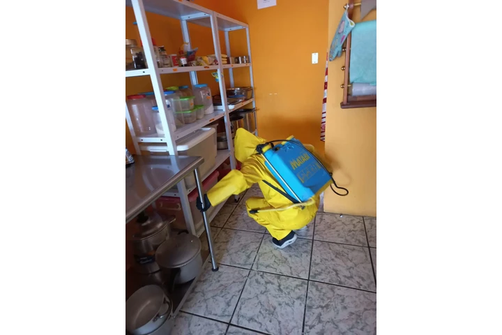 Servicio profesional de fumiga image 2
