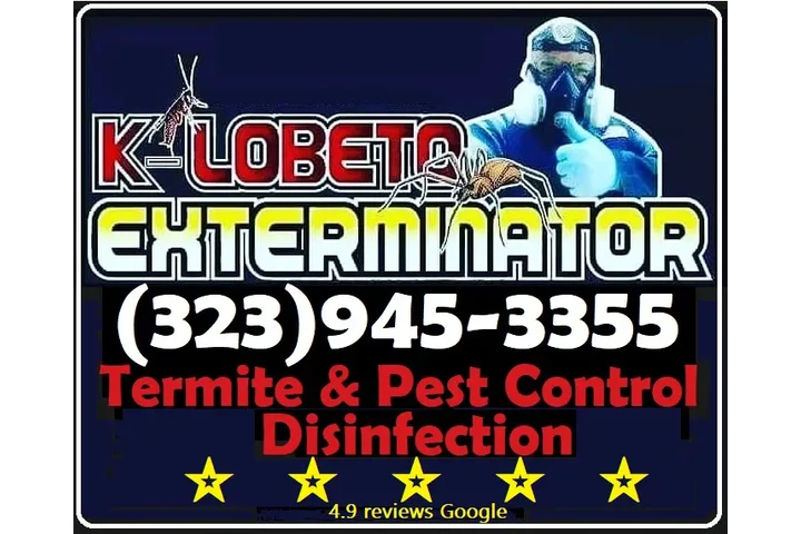 Urgent Pest Control - Same-Day image 2