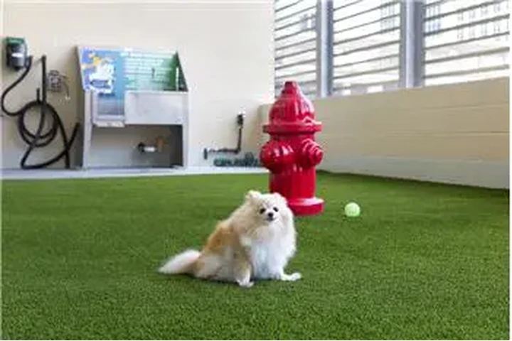 $2770 : Rental property with 1 bedro image 8