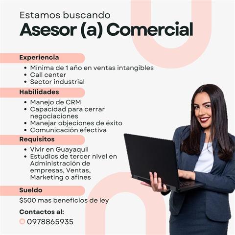 ASESOR COMERCIAL image 1