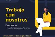 Trabajo remoto o presencial.