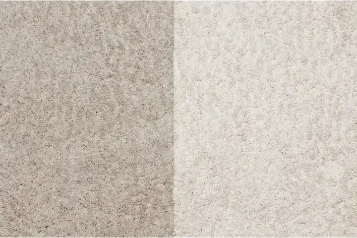 ¡Adiós manchas y olores! image 3