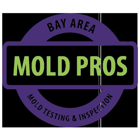 Bay Area Mold Pros image 1