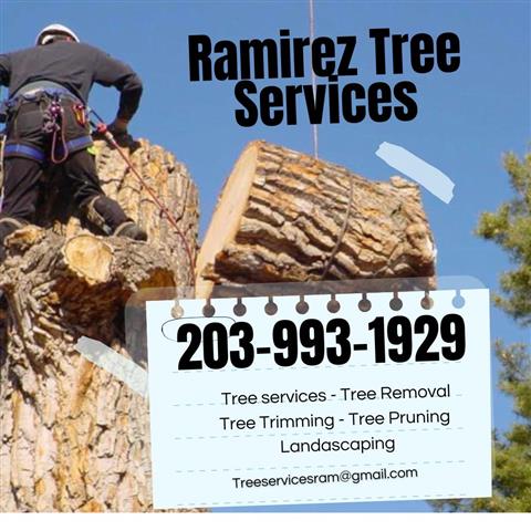 Ramirez Tree Services image 3