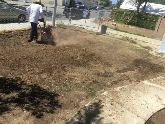 GARDENER CHAIDEZ image 1