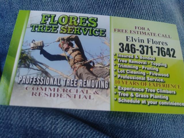 Tree service Flores image 2