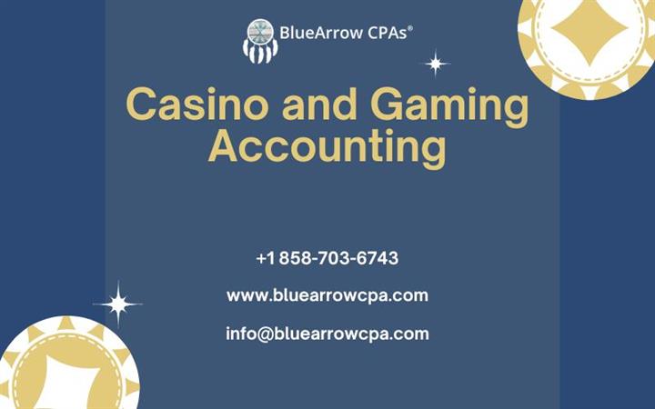 Casino and Gaming Accounting image 1