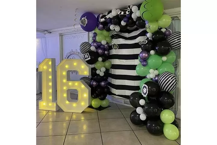 SALÓN DE FIESTAS image 2