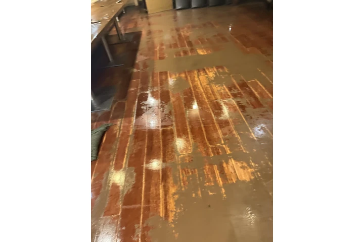 Limpieza de restaurante y casa image 1