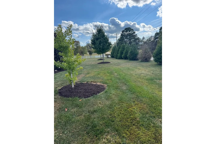 Diaz Lawn Care And Landscaping image 5