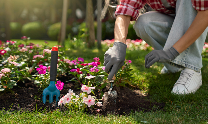 Haga que su jardín luzca grandioso esta primavera