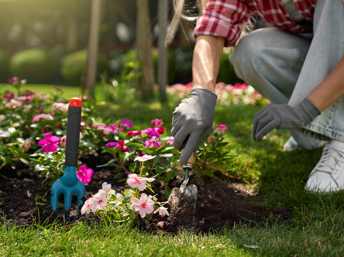 Haga que su jardín luzca grandioso esta primavera