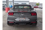 $33176 : Ford Mustang 2024 EcoBoost P thumbnail