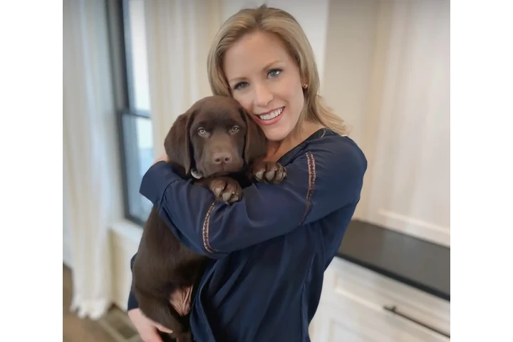 $400 : Pure Labrador for sale image 1