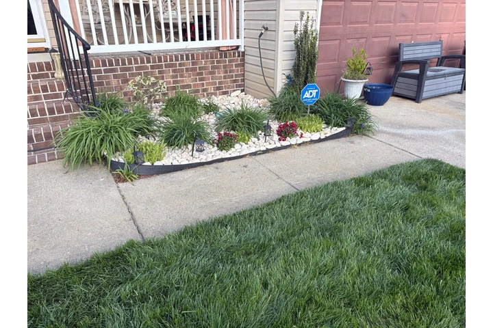 Professional Landscaping image 5
