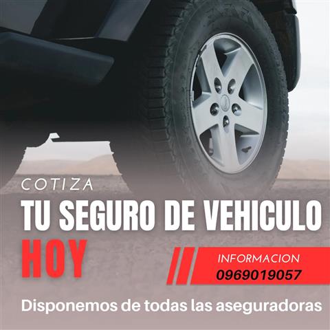 ADQUIERE TU SEGURO DE VEHICULO image 1