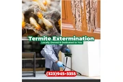 FUMIGACIONES PLAGAS-TERMITAS.-