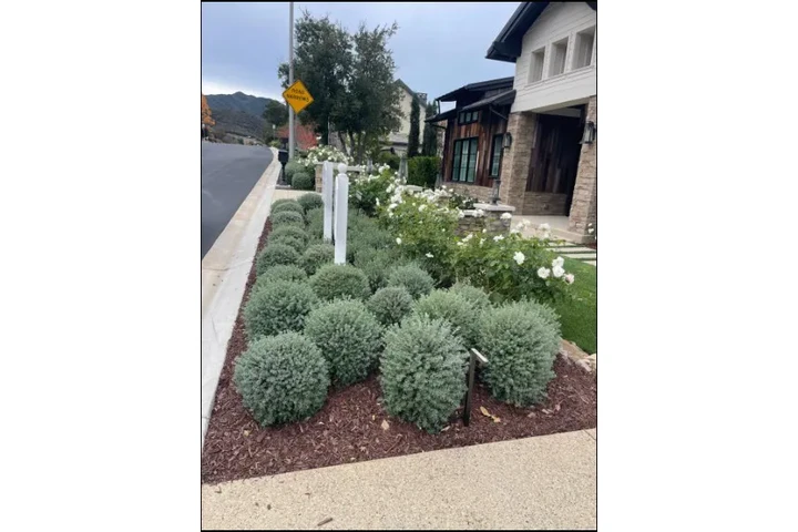 🌄 Expertos en Landscaping image 5