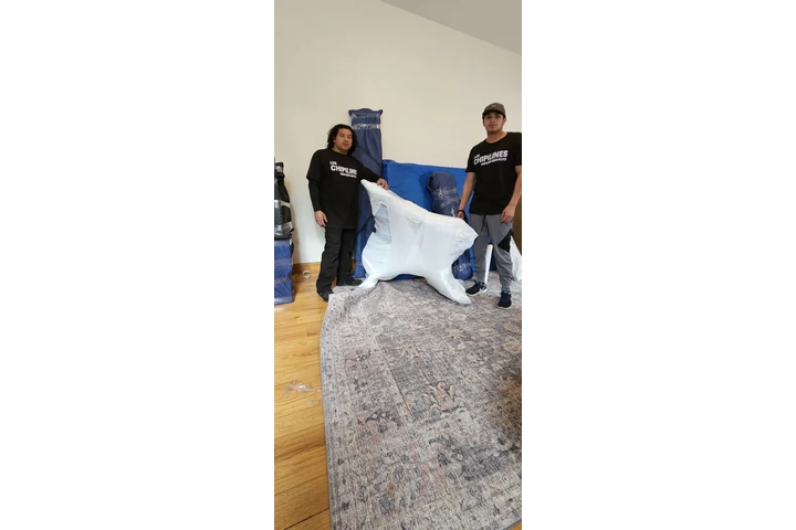 Los Chipilines moving corp image 9