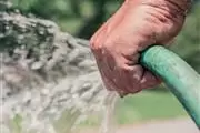 Rivas Landscaping thumbnail 2