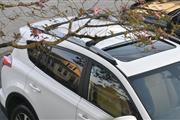 $13900 : 2017 Toyota RAV4 AWD XLE SUV thumbnail