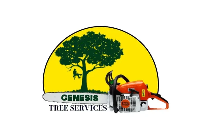 Servicio de Tree service image 2