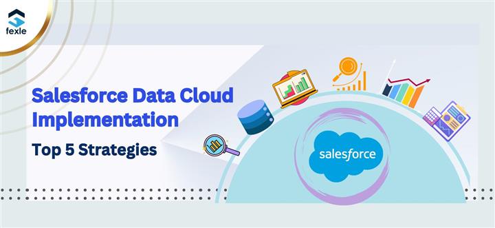 sf Data cloud implementation image 1