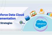 sf Data cloud implementation en Houston