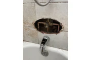 Zavala Plumbing thumbnail