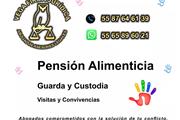 Pensión Alimenticia 5587646139 en Cuautitlan Izcalli