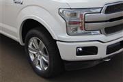 $41654 : 2019 F-150 Platinum thumbnail