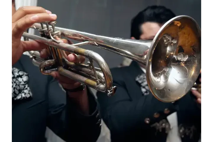 🎺✨ ¡MARIACHI ESPUELAS DE ORO! image 4