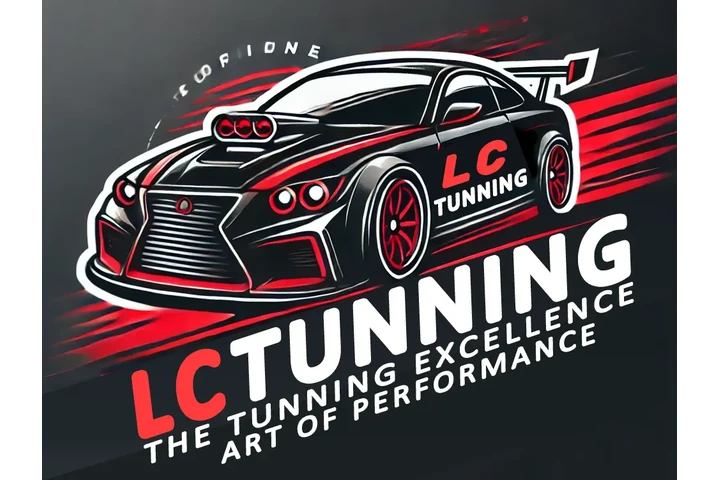 Professional Auto Tuning image 1