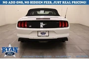Ford Mustang 2023 EcoBoost 2 thumbnail