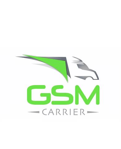 GSM CARRIER LLC image 1